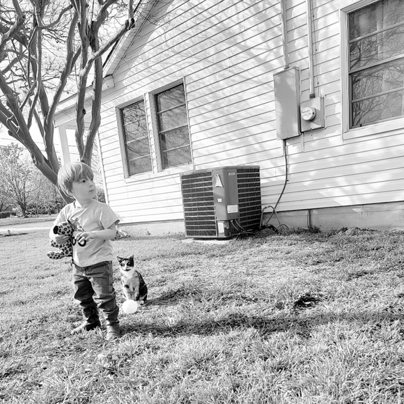 Meet your Posher, Victoria - Picture 5 of 9